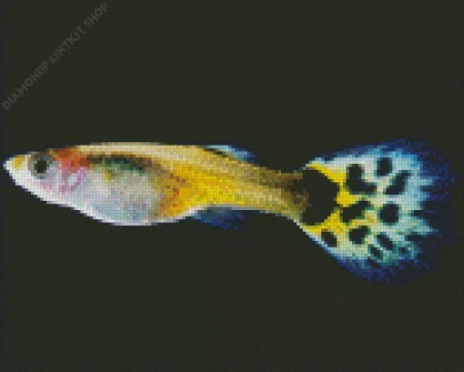 Guppy Fish Diamond Painting