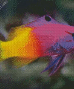 Half Yellow Half Purple Fish Diamond Painting