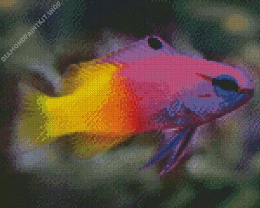 Half Yellow Half Purple Fish Diamond Painting