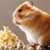 Hamster Eating Diamond Painting