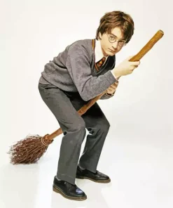 Harry On A Broom Diamond Painting