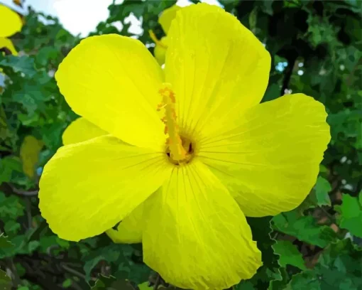 Hawaiian Flower Diamond Painting