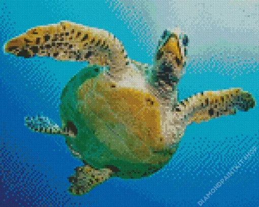 Hawksbill Sea Turtle Diamond Painting