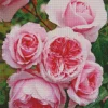 Heirloom Roses Diamond Painting