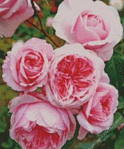 Heirloom Roses Diamond Painting