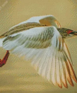 Heron Bird Flying Diamond Painting