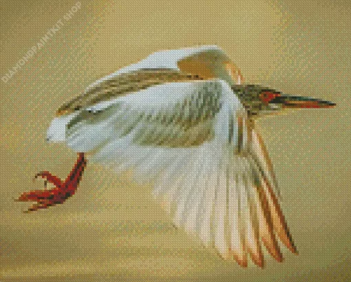 Heron Bird Flying Diamond Painting