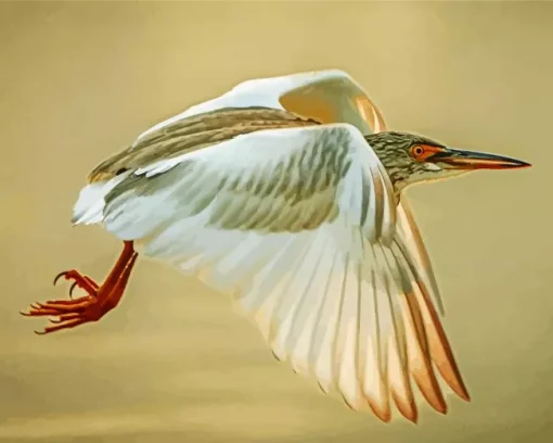 Heron Bird Flying Diamond Painting