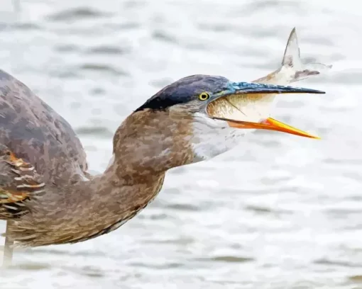 Heron Eating Fish Diamond Painting