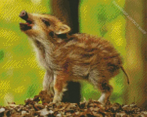 Hog Baby Animal Diamond Painting