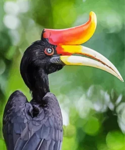 Hornbill Bird Diamond Painting