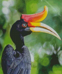 Hornbill Bird Diamond Painting