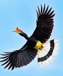 Hornbill Bird Flying Diamond Painting