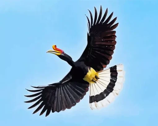 Hornbill Bird Flying Diamond Painting