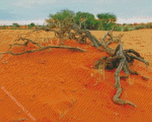 Kalahari Desert Diamond Painting