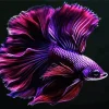 Purple Fish Diamond Painting