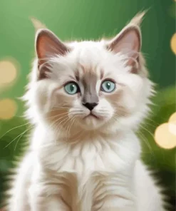 Ragdoll Kitten Diamond Painting