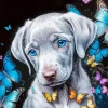 Weimaraner Puppy Diamond Painting