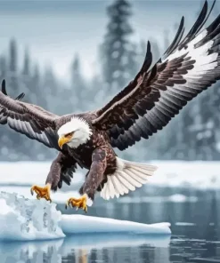 Winter Flying Eagle Diamond Painting