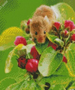 Eurasian Harvest Mouse Diamond Painting