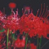 Red Spider Lily Flowers Diamond Painting