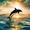 Aesthetic Dolphin Silhouette Art Diamond Painting