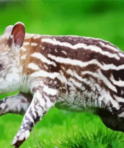 Baby Tapir Diamond Painting