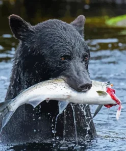 Bear Eating A Fish Diamond Painting
