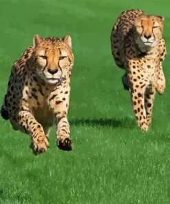 Cheetah Running Diamond Painting