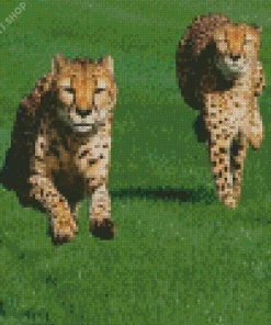 Cheetah Running Diamond Painting
