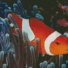 Clownfish Underwater Diamond Painting