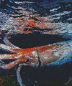 Colossal Squid Diamond Painting