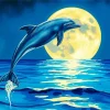 Cool Dolphin And Moon Diamond Painting