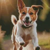 Dog Jumping Diamond Painting