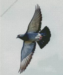 Flying Pigeon Diamond Painting