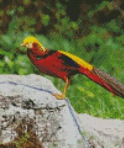 Golden Pheasant Diamond Painting