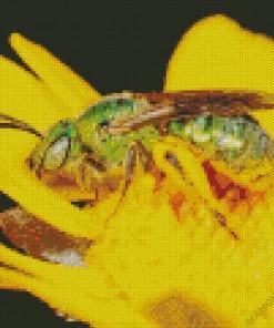 Green Bee Insect Diamond Painting