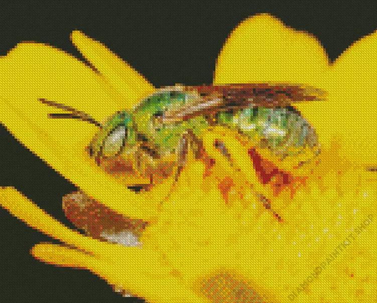 green bee insect Diamond By Numbers Green Bee Insect Diamond Painting