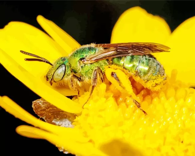green bee insect Diamond Paintings Green Bee Insect Diamond Painting