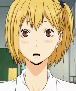 Hitoka Yachi Diamond Painting