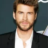 Liam Hemsworth Diamond Painting