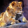 Lion And Lioness Diamond Painting