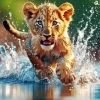 Lion Cub Diamond Painting