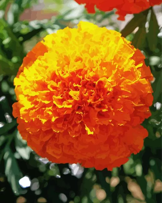 marigold flower Diamond Paints Marigold Flower Diamond Painting