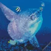 Mola Fish Diamond Painting