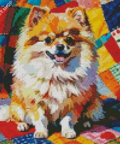 Pomeranian Pet Diamond Painting