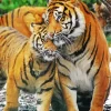 Tigers Hug Diamond Painting
