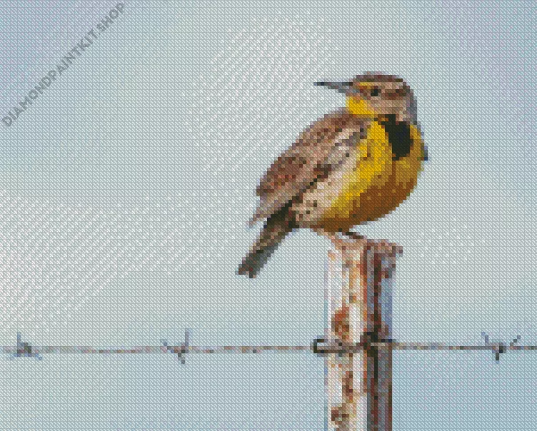western meadowlark Diamond With Numbers Western Meadowlark Diamond Painting