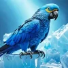 Blue Parrot On Ice Diamond Painting