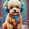Dj Maltipoo Dog Diamond Painting
